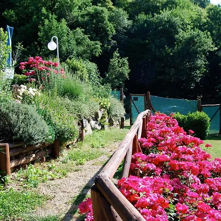 Borgo Dei Corsi - Charming In Tuscany With Airconditioning Ortignano Raggiolo