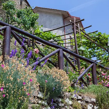 Lejlighed Borgo Dei Corsi - Charming In Tuscany With Airconditioning Ortignano Raggiolo