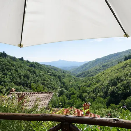 Borgo Dei Corsi - Charming In Tuscany With Airconditioning Ortignano Raggiolo