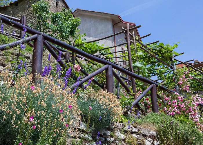 Lejlighed Borgo Dei Corsi - Charming In Tuscany With Airconditioning Ortignano Raggiolo